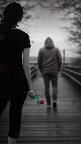 alone dp
