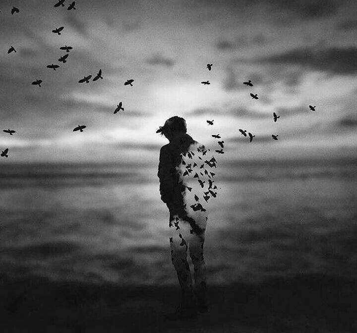alone dp