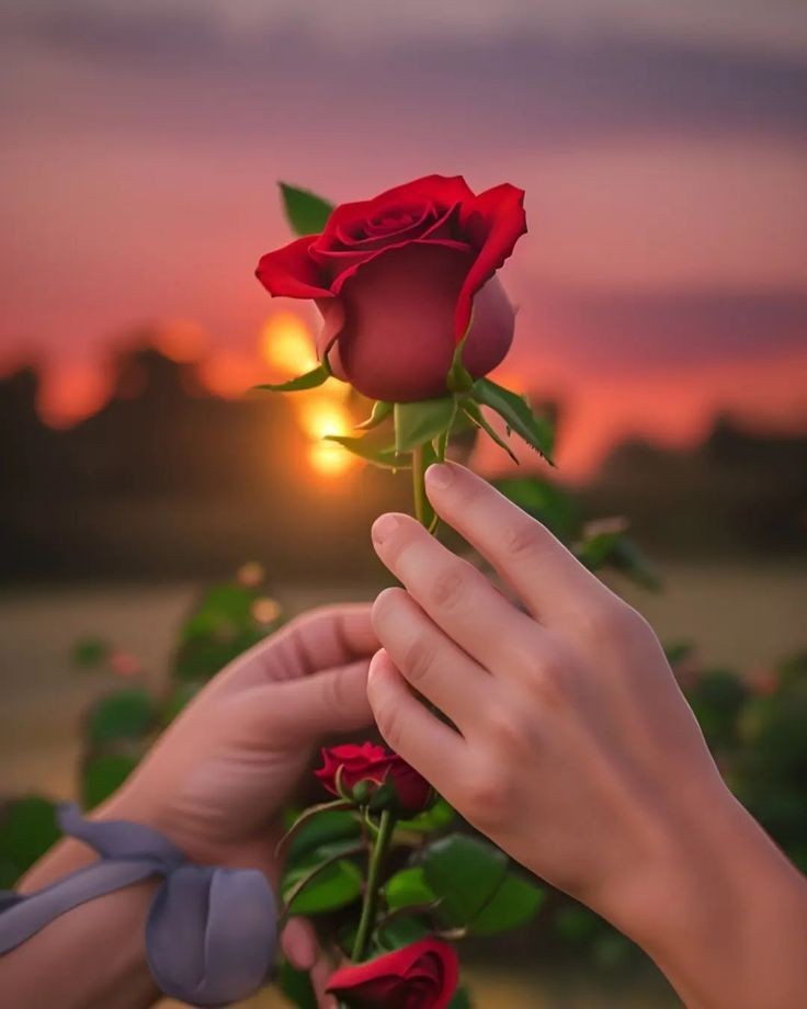 love dp photo