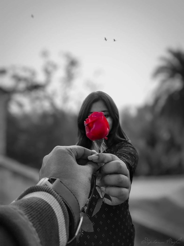 love dp photo